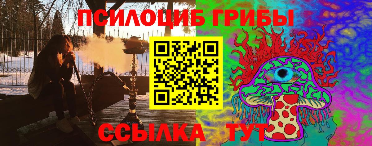 Галлюциногенные грибы мухоморы Елабуга